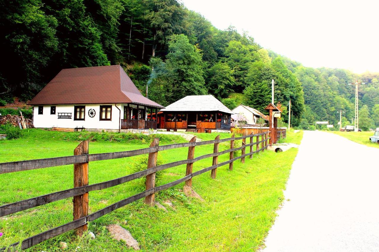 Casuta Din Valea Regilor Villa Gradistea de Munte Exterior photo