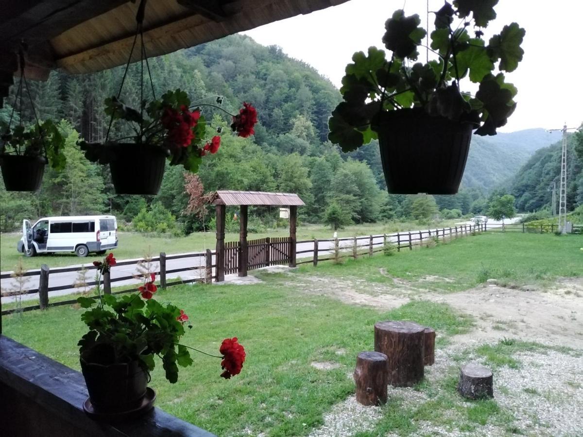 Casuta Din Valea Regilor Villa Gradistea de Munte Exterior photo